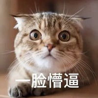 微信好玩的表情包