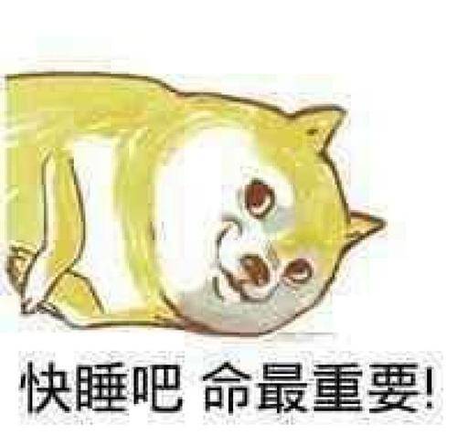当代年轻人的惜命方式