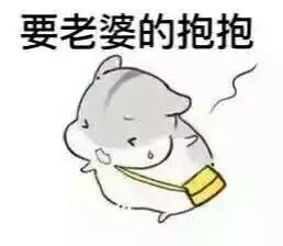 图片表情包搞笑老婆