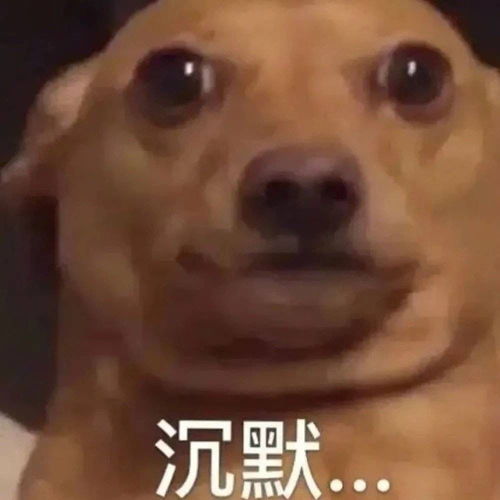 搞笑表情包嘻嘻哈哈没心没肺