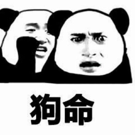 太难了藏狐小亮动图表情包狐主任藏狐小亮动图表情包