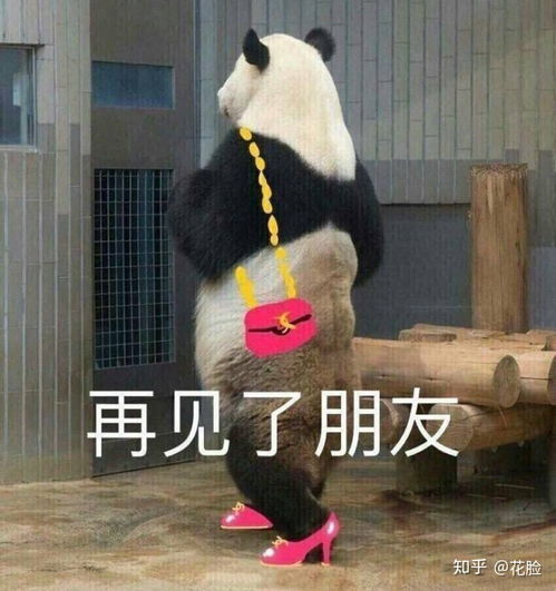 你见过哪些沙雕朋友圈