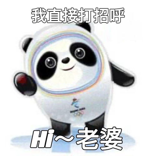 冰墩墩熊猫头表情包