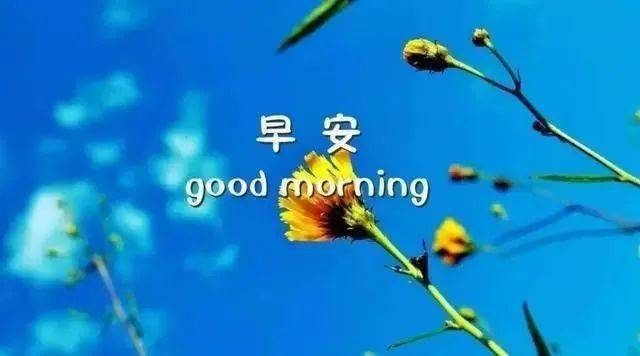 入冬早安问候祝福语短信,漂亮的美女真人早上好问候图片表情