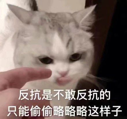 热门表情包图片搞笑快乐