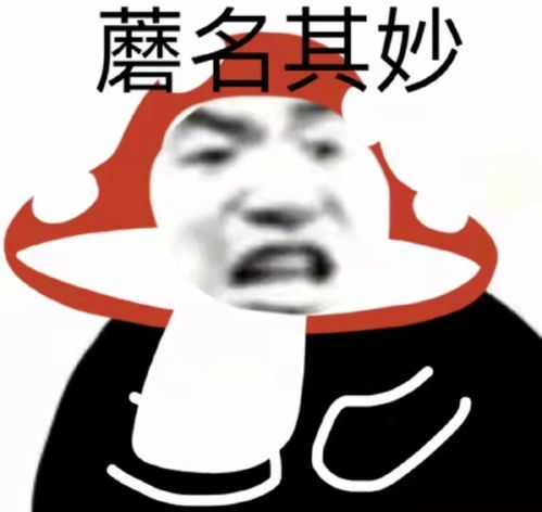 表情包沙雕表情包344期