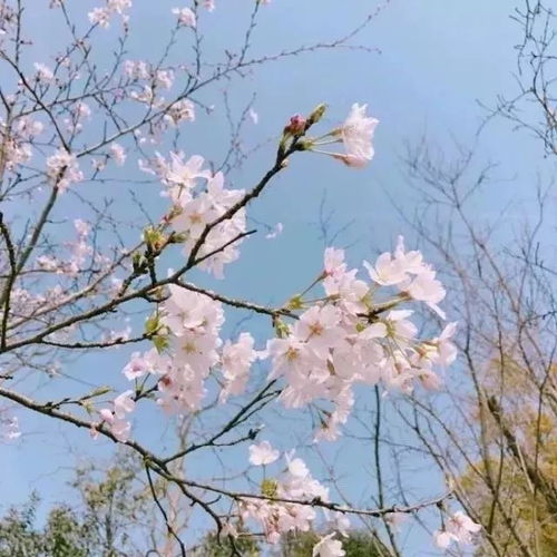 背景图丨人生苦短还好我甜
