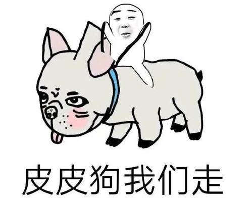 2020是史上最难的高考一张高考试卷的自白带你破南