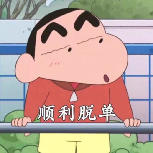 蜡笔小新新年愿望表情包