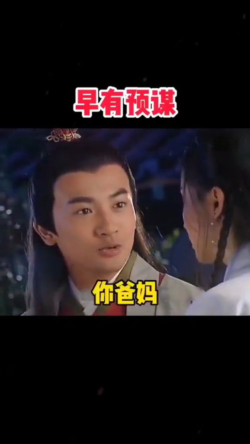 你爸妈一定喜欢我在他们女婿表情包搞笑视频经典段子情侣夫妻