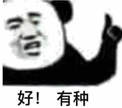 近期超火的沙雕熊猫头表情包