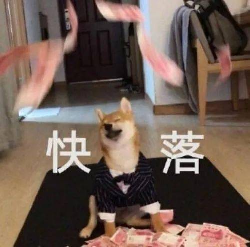 王撕葱舔狗算什么我在我家狗子面前爱得更卑微......