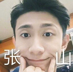 张一山新表情包出炉,杨紫这个表情库,送生日祝福都那么别致