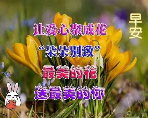 早上好搞笑表情包动画表情