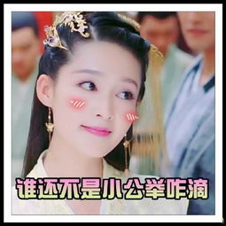 楚乔传淳儿李沁最新带字搞笑表情包16p