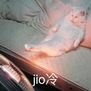 超可爱猫咪表情包别过来,我怕猪,喵