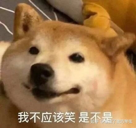卫生巾掉进马桶怎么办