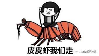 扎心了,原来全新jeep自由侠和年度网络用语这么配