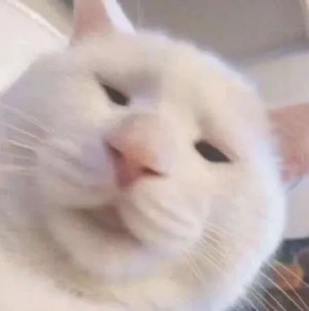 50张女生头像丨生活不易,猪猪叹气