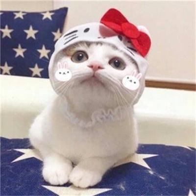 亲子微信头像一人一张