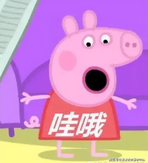 名字虽古怪,水平却不赖这些美国宝藏学校,很可