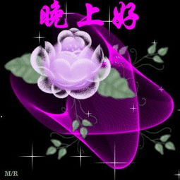 微信表情晚安