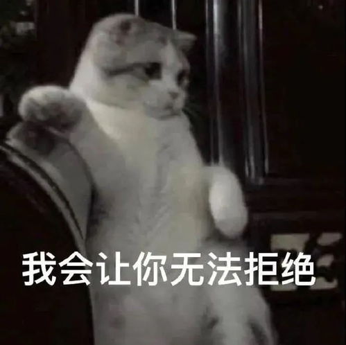 搞笑聊天表情包