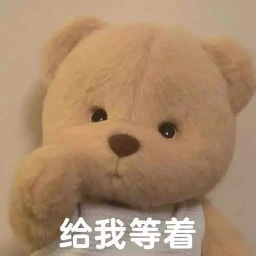 表情包小熊表情包