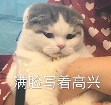 幽默搞笑表情包小姑娘,这么晚还不睡