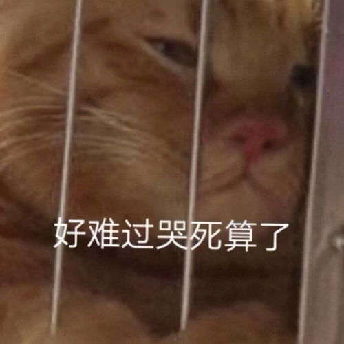 表情包难过搞笑表情包