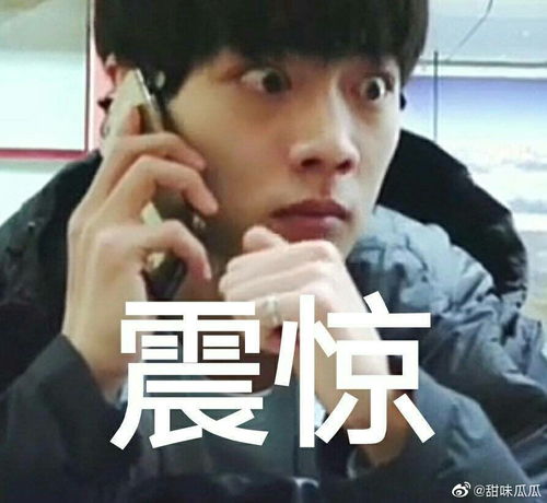 提名最可爱有趣的男明星表情包蔡...