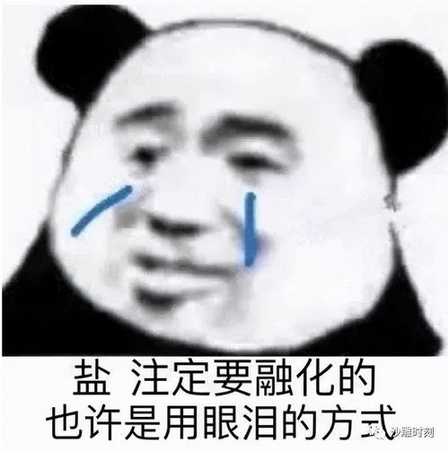 朋友圈沙雕文案第二期