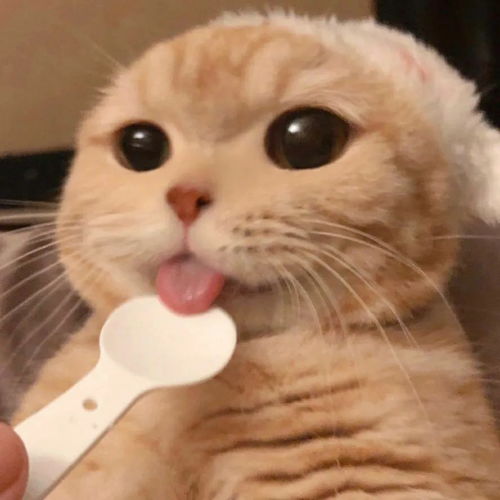 一批个性微信头像,猜你会特别喜欢的,选一张精致吧