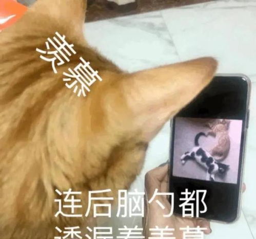 闺蜜和我的理想型在一起了淦,这是什么剧情