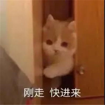 超级的幽默又超级的有趣表情大全