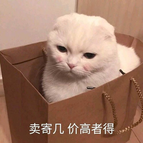拱墅区招业务员底薪4000提成5险法定假日双休不加班