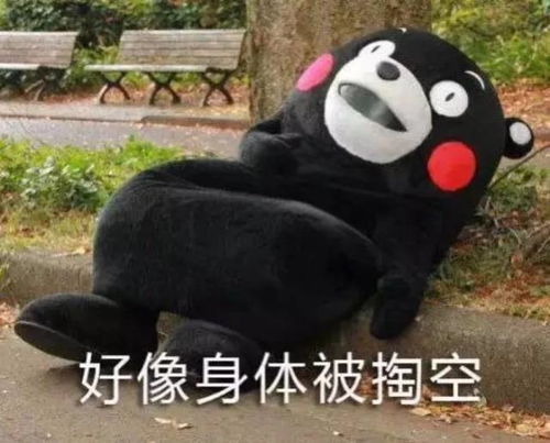 春假归来,蹦床公园嗨爆了