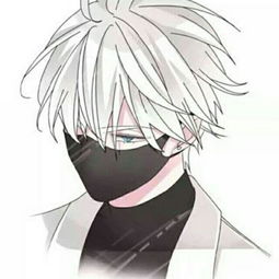 答题王答案