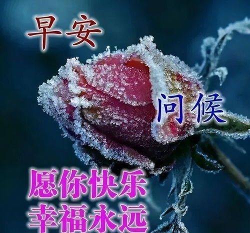 早上好问候语动态表情图文字,微信新的漂亮祝福语图片