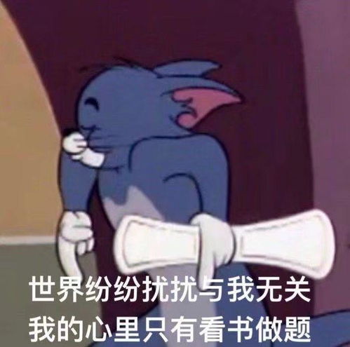 2022搞笑表情包复习