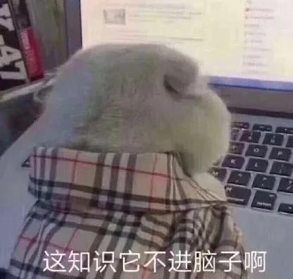 中国留学生finalweek生活实录