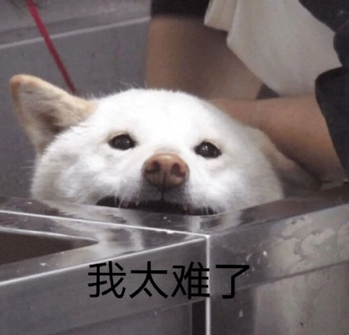 鄙视链底端的人连口渴都只配在水管里喝自来水