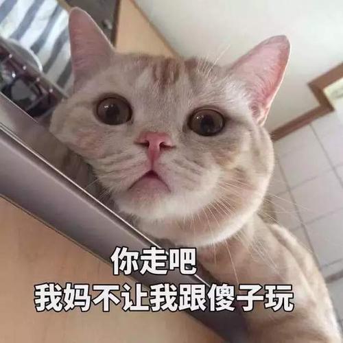 十二星座只要恋爱大脑就短路,秒变蠢萌果然恋爱中智商皆是零