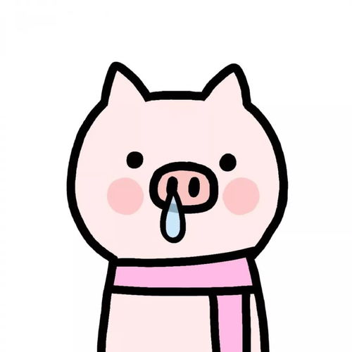 今日头像
