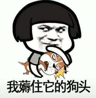 抖音我在那小区遛狗搞笑无水印表情包汇总