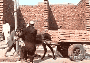 美女你夹的太松,在紧点
