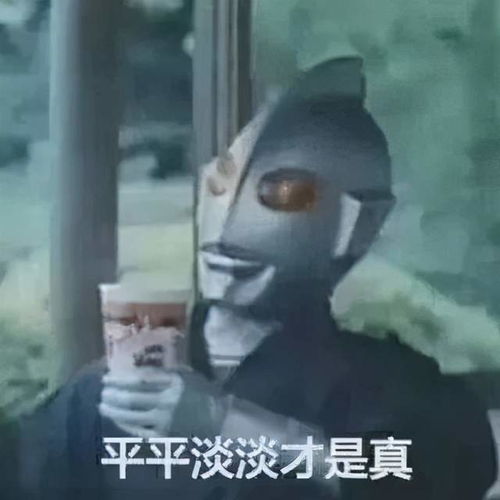 娱乐圈表情包生产队