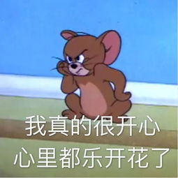猫和老鼠套图头像壁纸表情包背景图