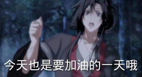 魔道祖师道友恶搞动漫台词后,变搞笑表情包,思追满脸嫌弃