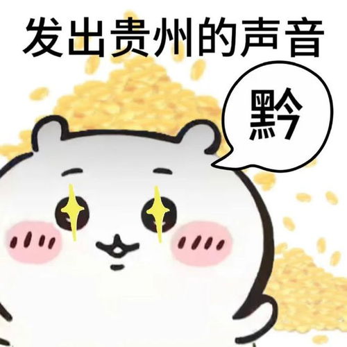 超搞笑的表情包发出了来自五湖四海的声音